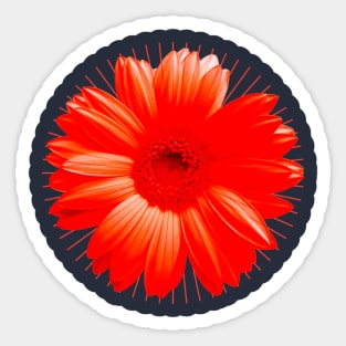 Flower Chakra Red Sticker